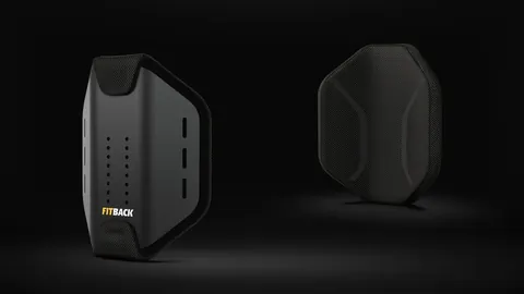 FitBack Buddy